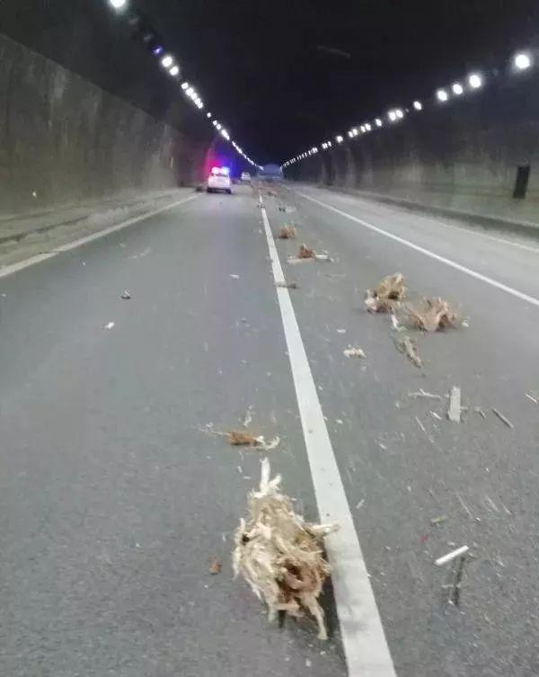 徐水公路规划最新动态揭秘