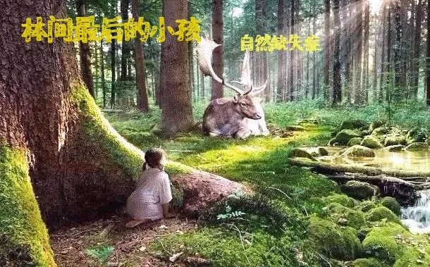 新能源汽车 第494页