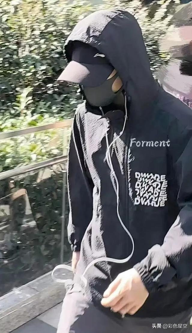 肖战最新紫色视频，自然美景中的旅行启示与感悟