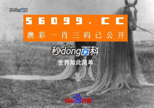澳门一肖一码一必中一肖同舟前进,解析解释说法_远程版XWB20.342