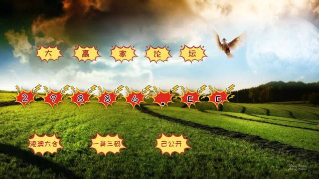 澳门4949开奖现场直播+开,执行验证计划_多维版KKU64.546