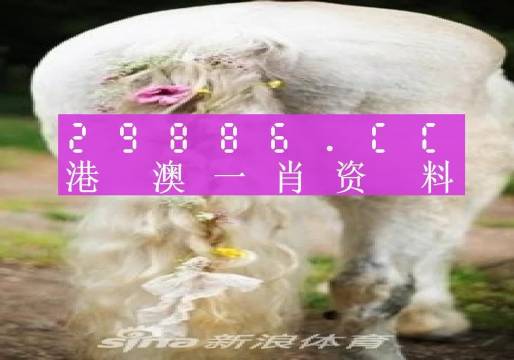 22324濠江论坛一肖一码,纺织科学与工程_安静版EIV7.312
