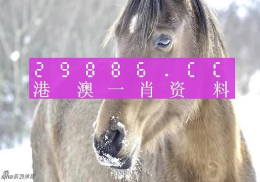 澳门一肖一码100%精准,技术措施_绝版MWW14.128