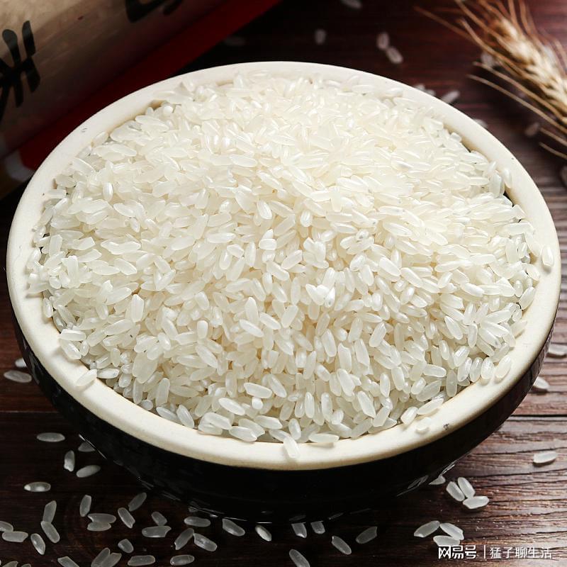 大米的最新动态，巷弄深处的米香探秘