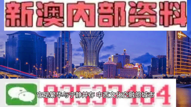 新澳门内部一码精准公开网站,前沿研究解析_经典款17.768-1