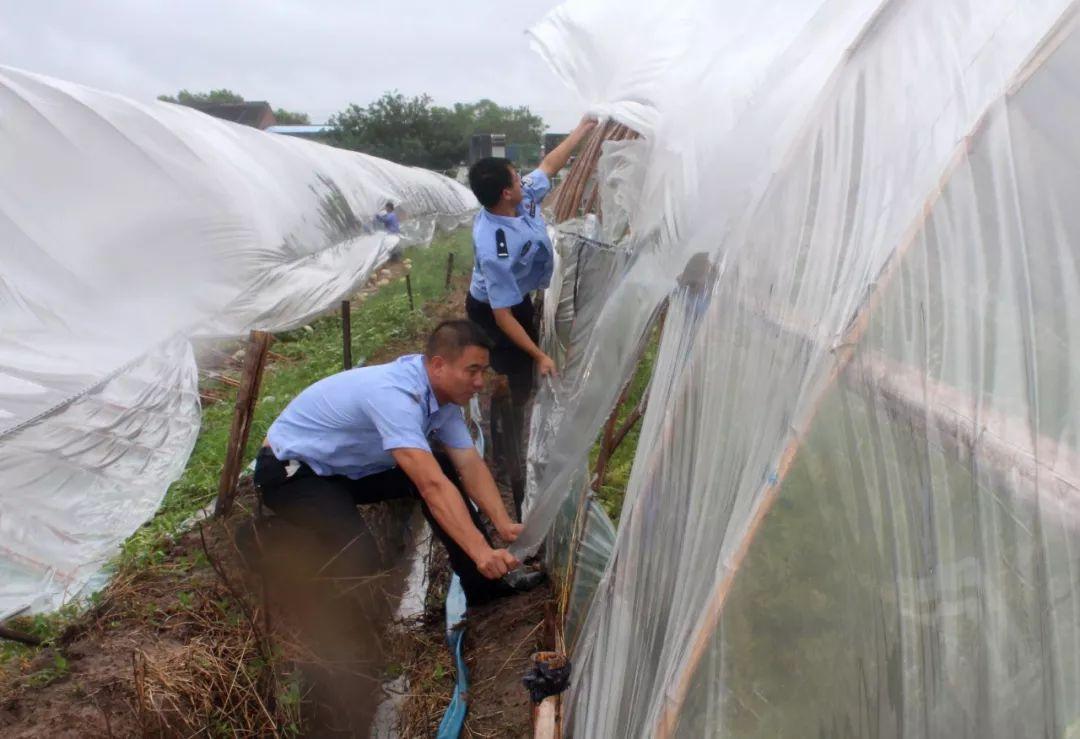 浙江台州台风最新动态，各方观点分析与个人立场表达