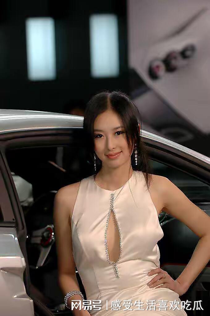 最新版的兽兽现象，多维解读与探讨