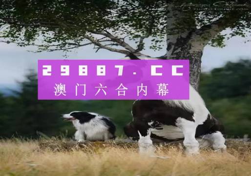 澳门跑狗,实地验证数据策略_Phablet134.290-5
