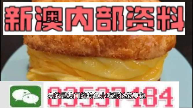 新澳最新最快资料新澳60期,灵活性执行方案_动态版33.404