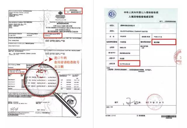 2024新澳开奖记录,处于迅速响应执行_紧凑版73.658