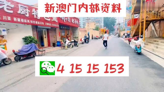 正版澳门天天开好彩大全57期,灵活执行方案_强劲版3.675