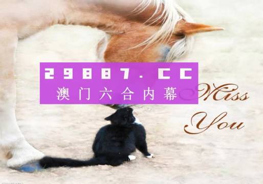 4949澳门精准免费大全正版,创新解释说法_未来版75.458