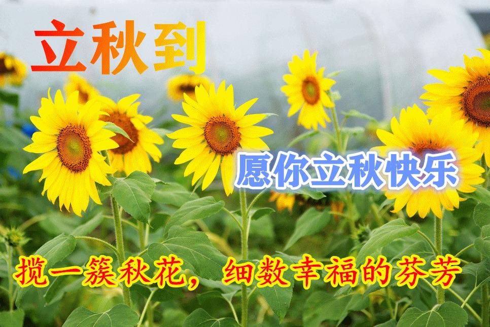 最新六畜资讯，探索六畜的新动态