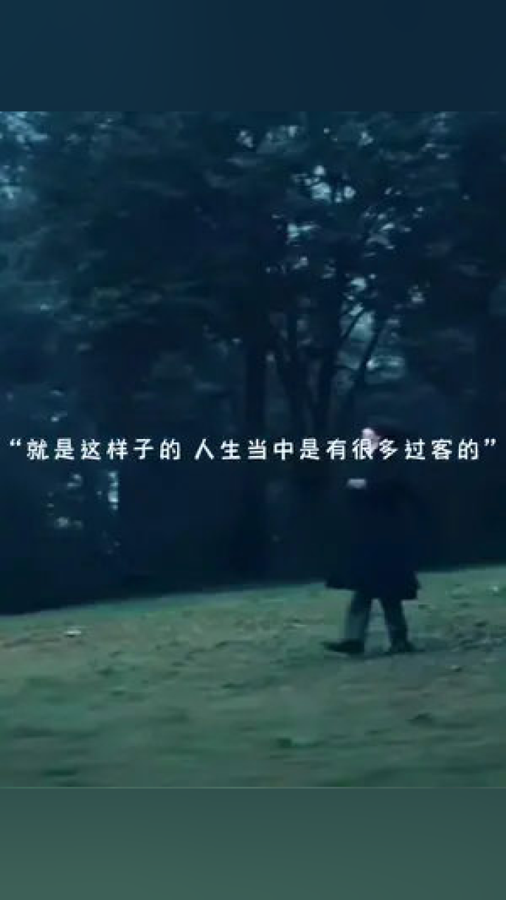 人生经典语录最新，小巷邂逅的启示与感悟