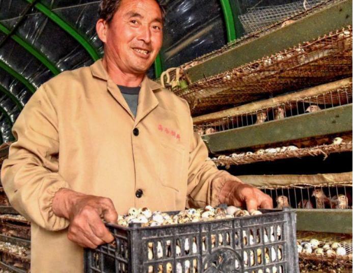 疫情最新报告病例动态，变化中的学习铸就自信与成就感