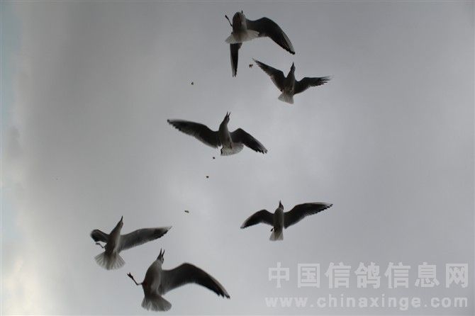 新能源汽车 第349页