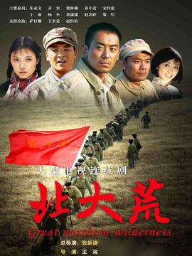 情系北大荒电视剧，观看与理解的步骤指南