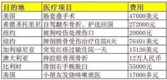 最新鸡苗价格,安全设计方案评估_随身版94.368