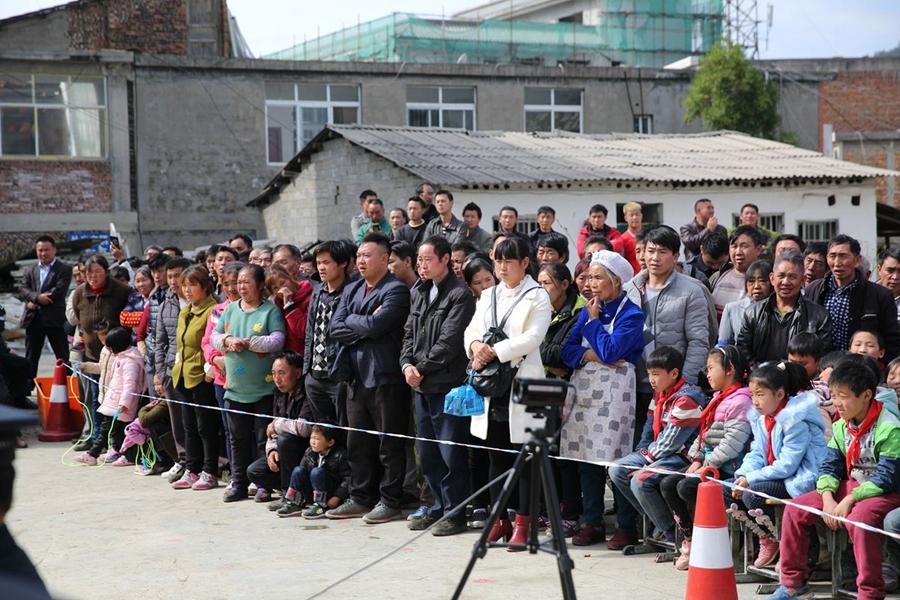 最新盗伐林木立案标准解析及立案标准概述