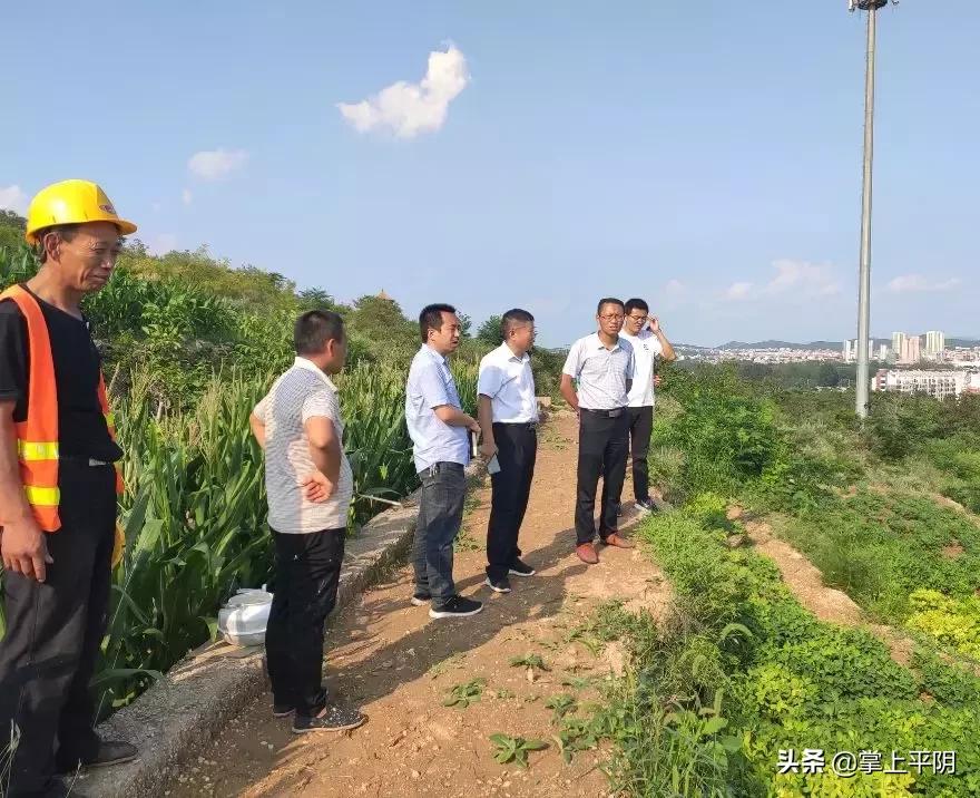 平阴房屋出租最新消息,效率评估方案_便签版23.627