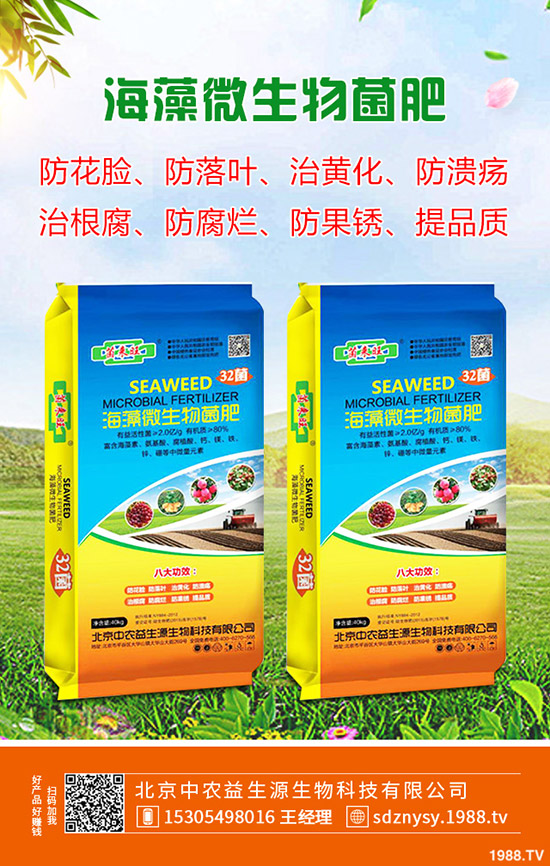 芬王复合肥最新价格表,快速处理计划_同步版23.963