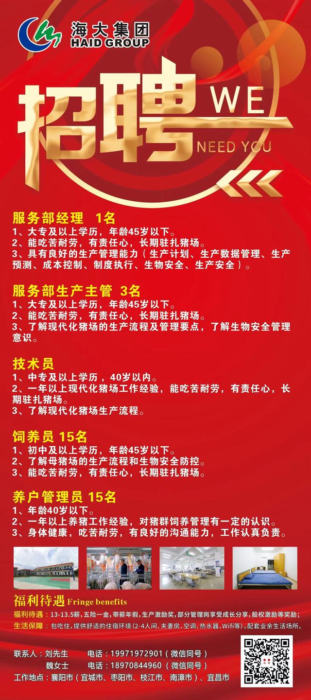 辽中最新招聘，与大自然共舞，启程心灵之旅的启程点