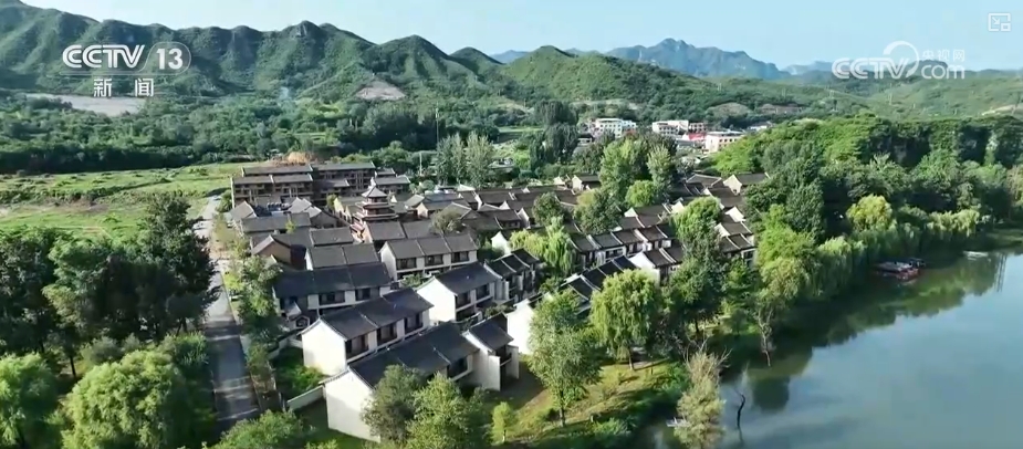 南海事件最新动态与小巷深处的独特风味探秘