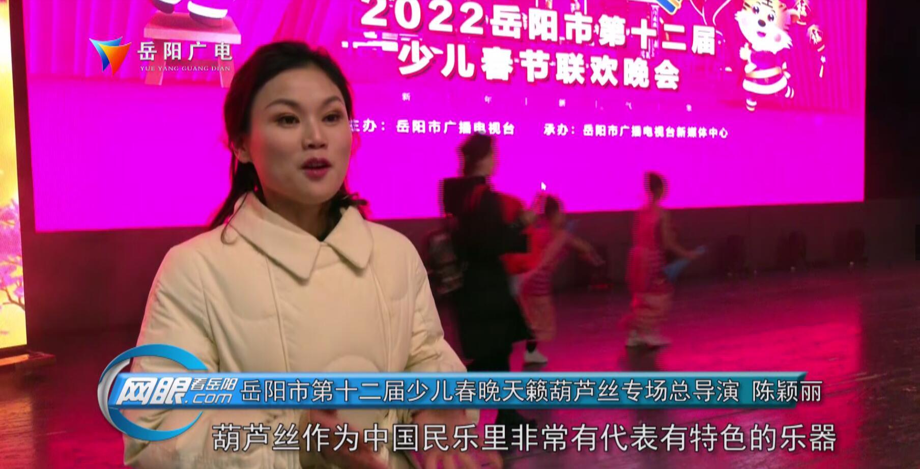炫舞天籁助手最新版，多维度的功能与价值的探讨