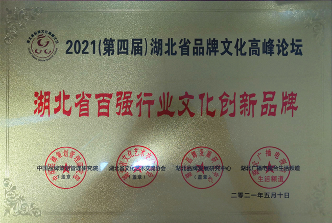 水电十一局最新中标项目，引领工程领域的先锋力量
