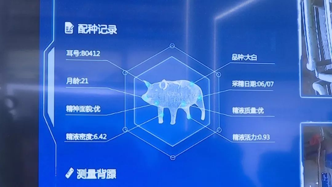 最新一起作业高科技产品介绍与体验