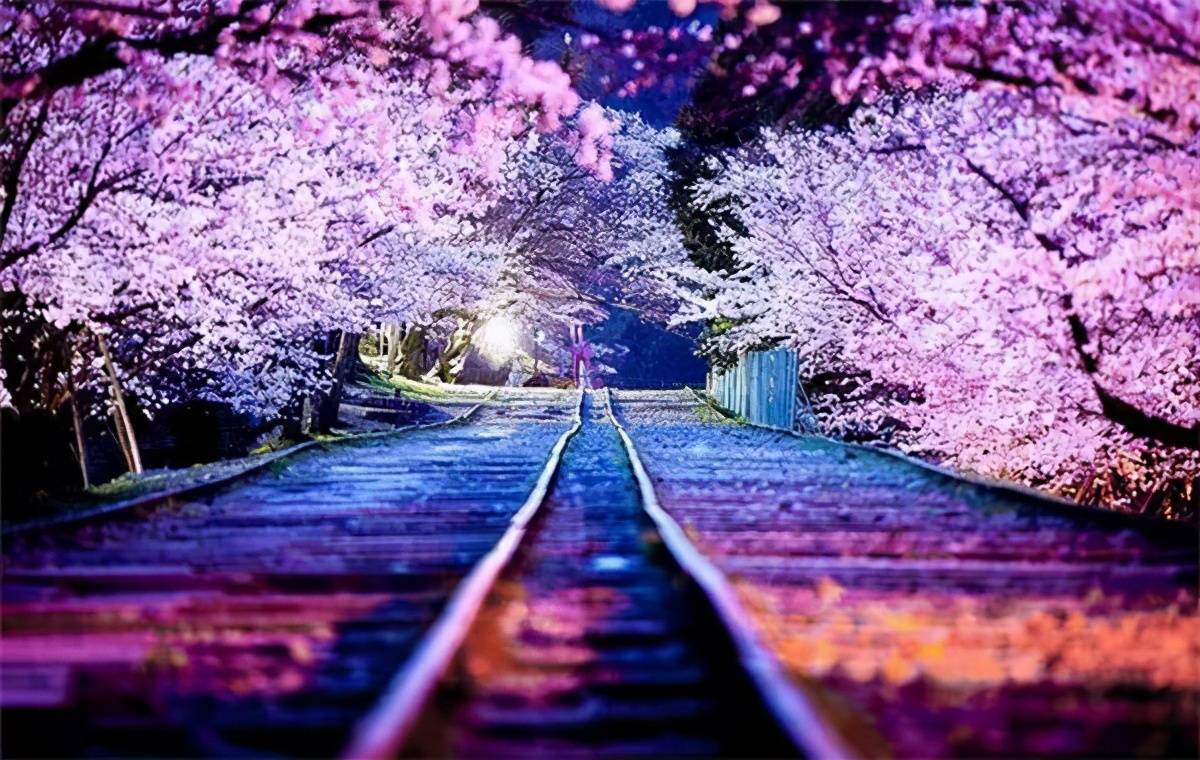 恋夜最新网站，自然美景梦幻之旅探索平台