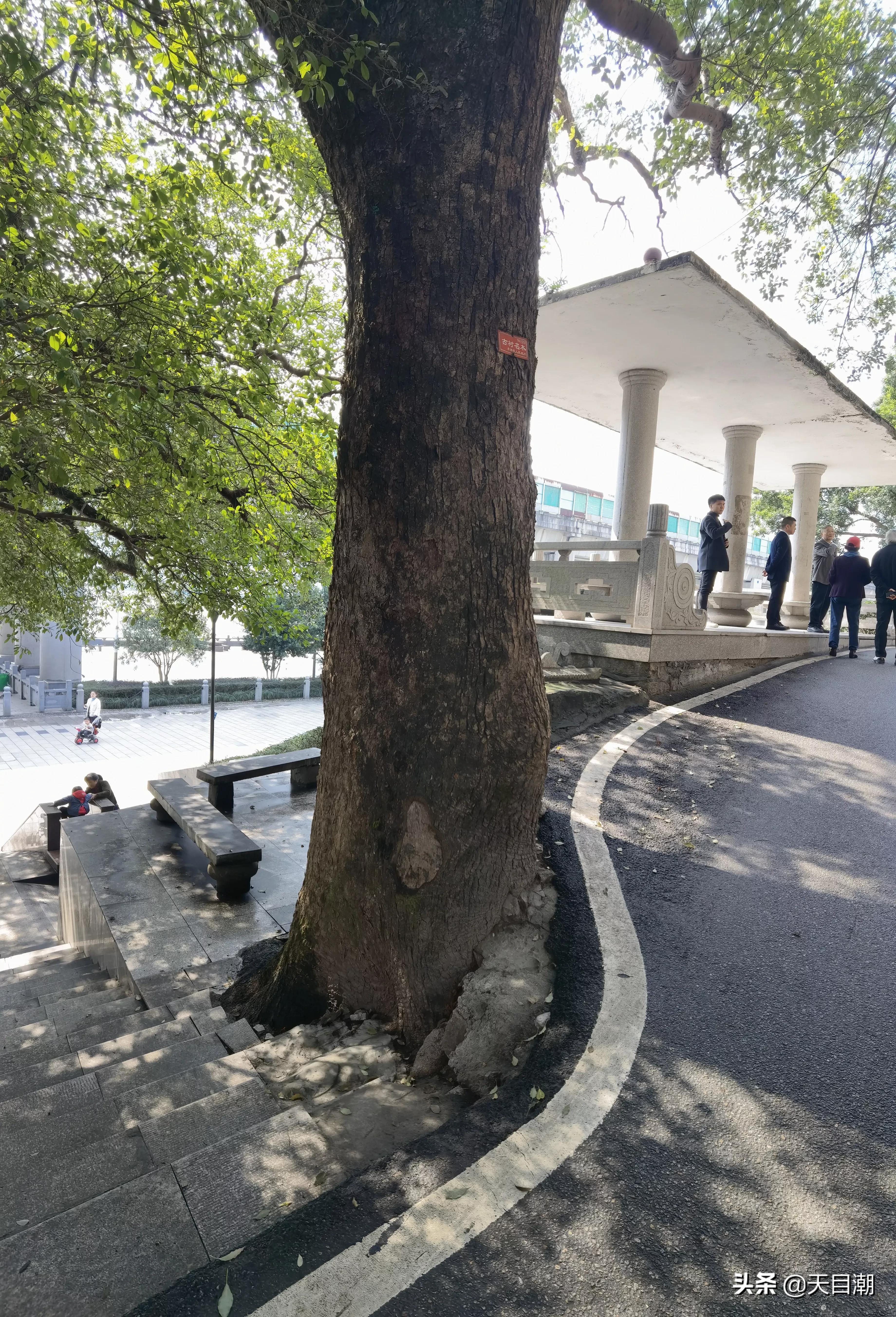 青田温溪工厂招聘，职场奇遇与友情启航
