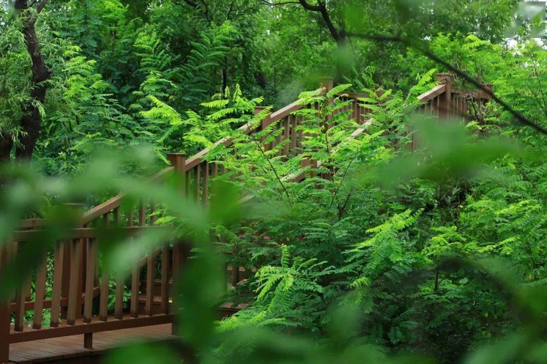 唯思影城最新地址揭秘，启程探索内心宁静与自然奇迹的旅程