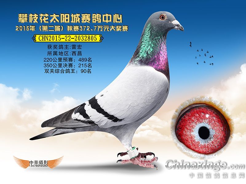 销售燃料油 第305页