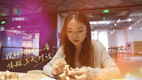 天音网络最新动态，温馨日常与奇妙网络冒险之旅