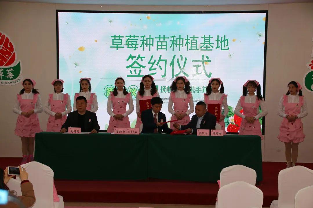 双阳奢岭印业最新招聘启事