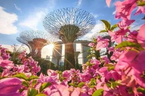 苏阿姨公司最新动态，自然美景探索之旅启程！