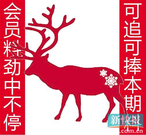 金钱豹自有真功夫最新揭秘，独特技能与实力展现