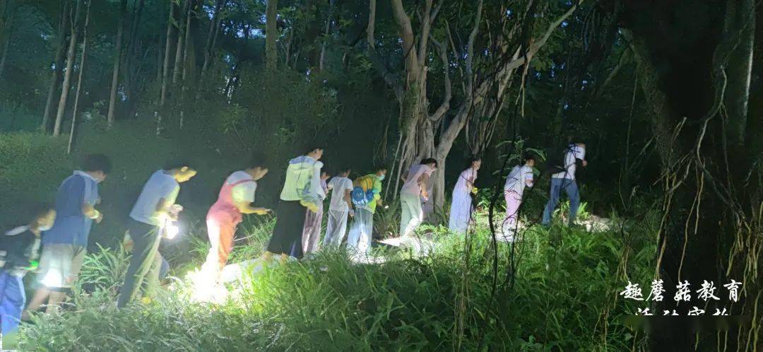燕子回时公爵，与自然美景的亲密之旅，探寻内心平和的旅程