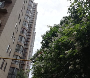 衡水金域蓝湾房产最新价格与温馨家园故事