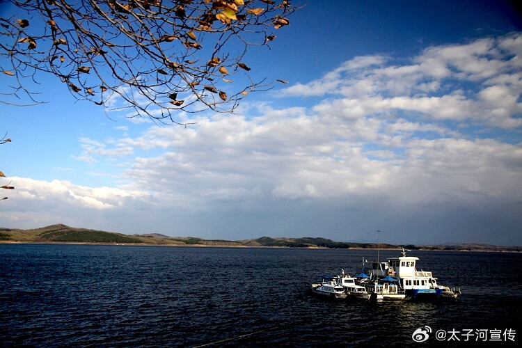 最新疫情更新与探寻自然美景，内心宁静平和之旅