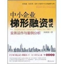 中小企业融资最新案例，科技赋能重塑未来——高科技产品介绍及其融资之路