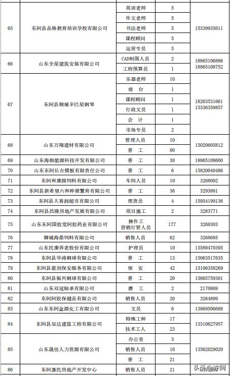 东阿最新招聘信息揭秘，小镇招聘奇遇之旅