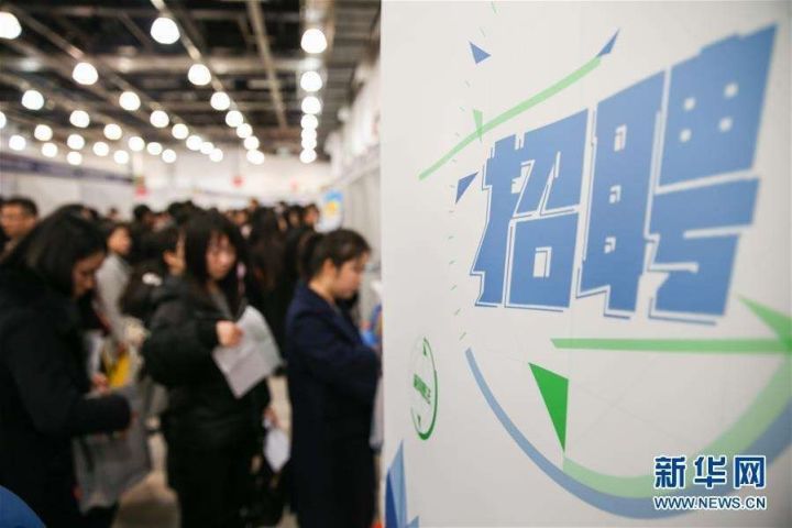 测量招聘网最新招聘，心灵与自然的完美交汇点