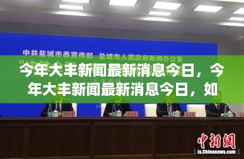 大丰最新新闻及其获取指南