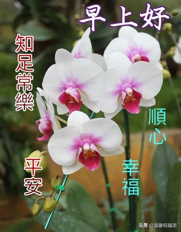 最新连接，温馨的友情日常时光