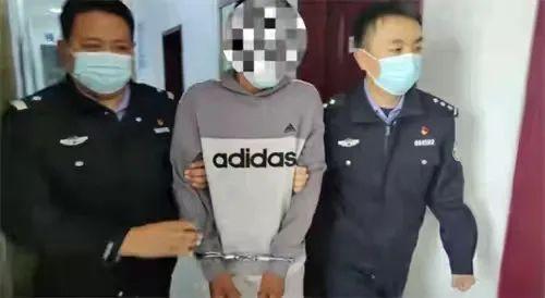新泰房价最新动态，科技居住梦想与前沿体验的未来引领