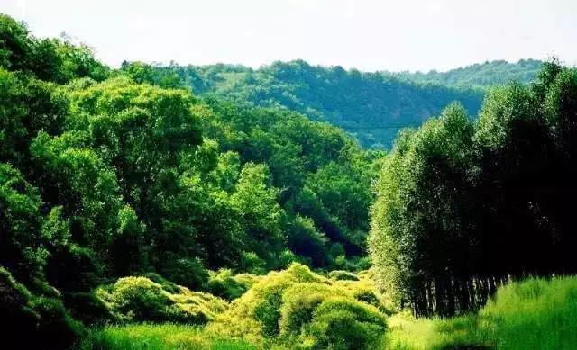 七里河区人事任免更新,自然美景探索之旅的启程