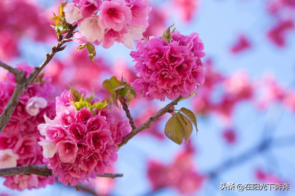 遵义茅坡水库最新动态更新，最新消息汇总