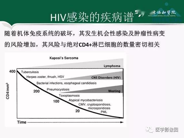 澳门特马今晚开什么码,现象分析定义_SJS77.628影像处理版